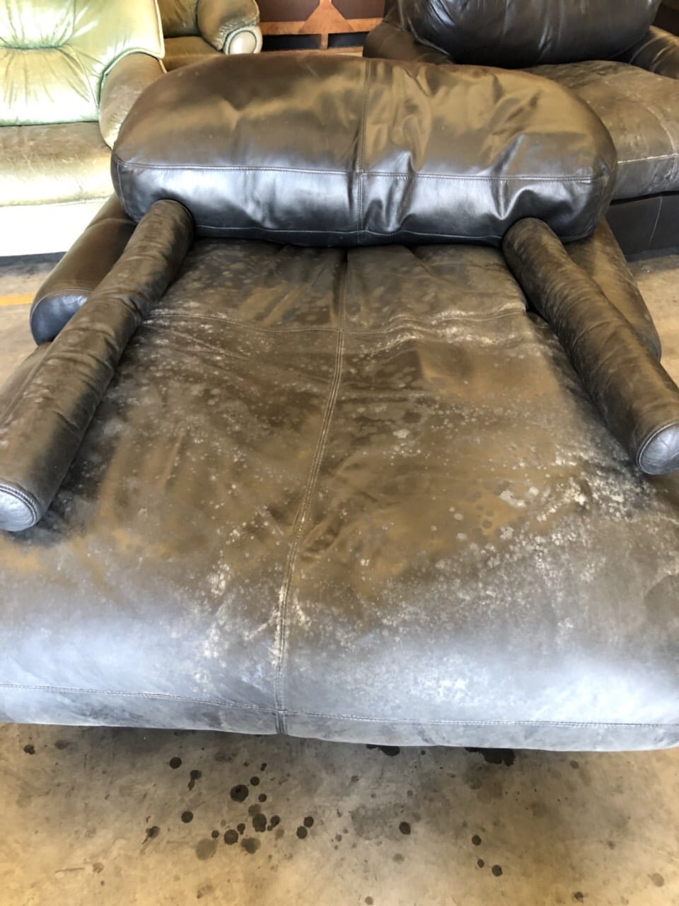 Leather Lounge Cleaning - A & A Spectrum